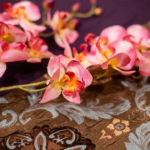 Spa & Facial Services