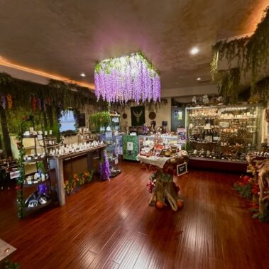 Cozy, warmly lit shop with wooden floors and hanging greenery displays.